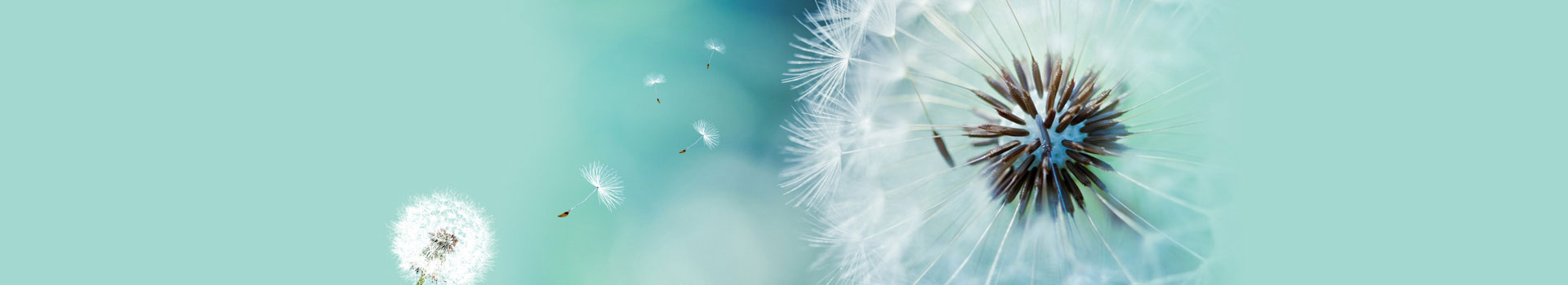 廣州過期食品銷毀,報(bào)廢食品處理,銷毀不合格食品,過期化妝品銷毀,面膜銷毀,護(hù)膚品銷毀